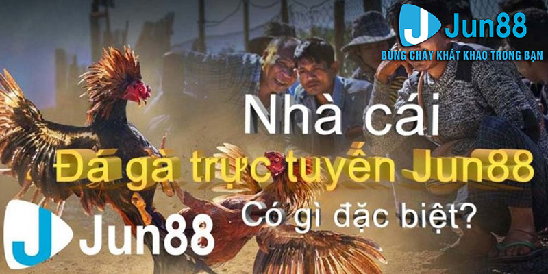 Xổ Số Jun88 - Một lựa chọn đáng cân nhắc